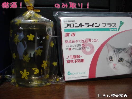 頂きものいっぱい♪_d0355333_14112927.jpg
