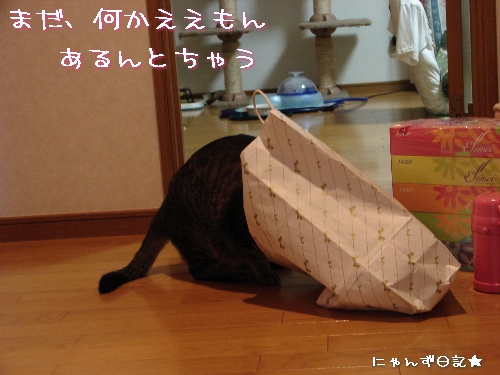 頂きものいっぱい♪_d0355333_14112985.jpg