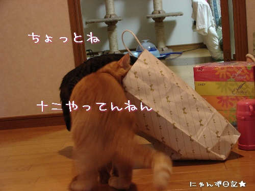 頂きものいっぱい♪_d0355333_14113042.jpg