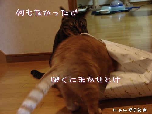 頂きものいっぱい♪_d0355333_14113088.jpg