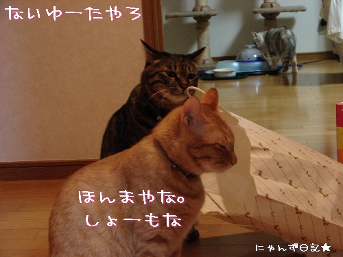 頂きものいっぱい♪_d0355333_14113159.jpg