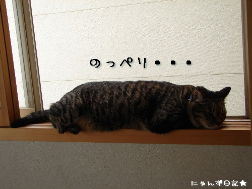 ノシモチに注意_d0355333_14113204.jpg