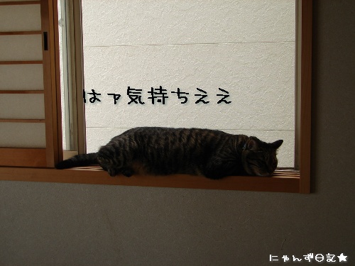 ノシモチに注意_d0355333_14113303.jpg