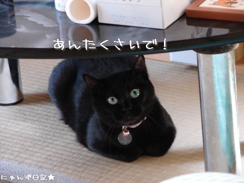 お友達訪問★においの元は?_d0355333_14113704.jpg