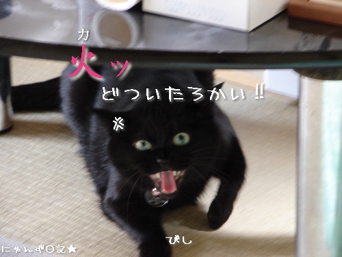 お友達訪問★においの元は?_d0355333_14113721.jpg