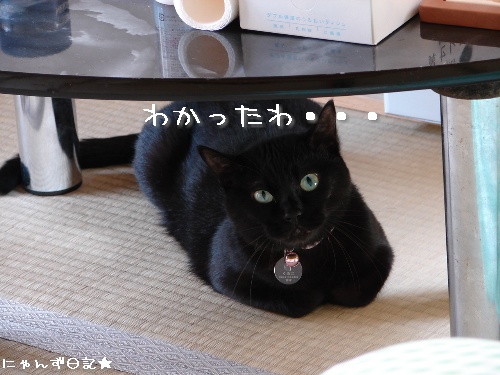 お友達訪問★においの元は?_d0355333_14113766.jpg