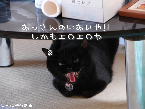 お友達訪問★においの元は?_d0355333_14113784.jpg