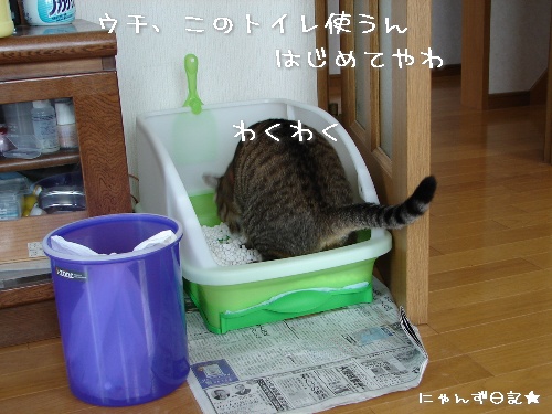 ワクチンの後遺症?_d0355333_14113835.jpg