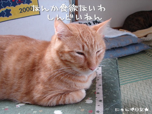 ワクチンの後遺症?_d0355333_14113873.jpg