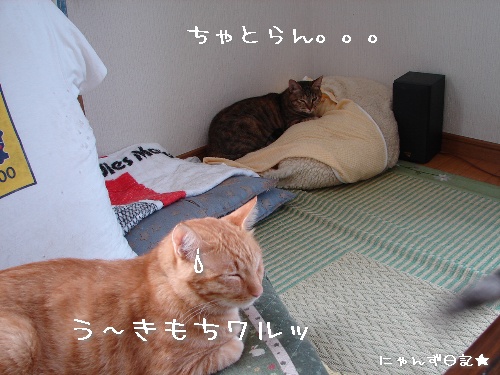 ワクチンの後遺症?_d0355333_14113890.jpg