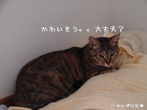 ワクチンの後遺症?_d0355333_14113894.jpg