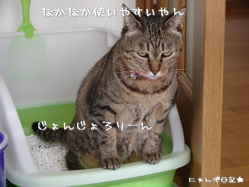 ワクチンの後遺症?_d0355333_14113991.jpg