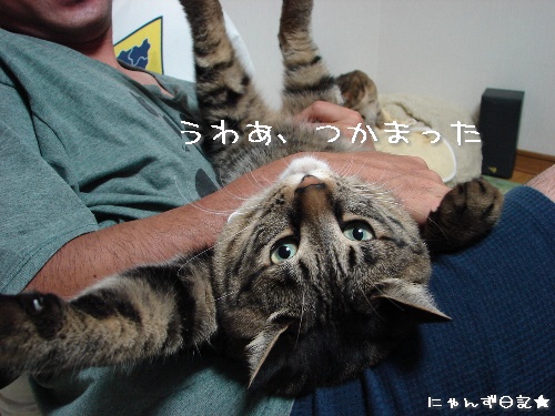 亀田くん気取り?_d0355333_14114273.jpg