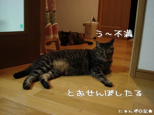 亀田くん気取り?_d0355333_14114381.jpg