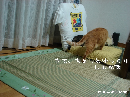 一触即発*大人の判断_d0355333_14114443.jpg