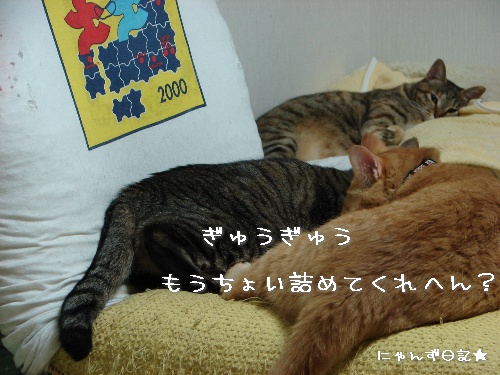 一触即発*大人の判断_d0355333_14114573.jpg