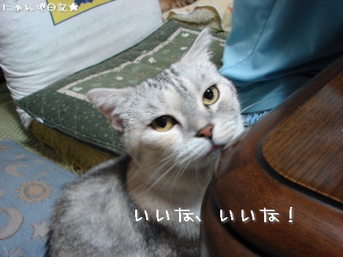 温泉たまご機がやってきた♪_d0355333_14115326.jpg