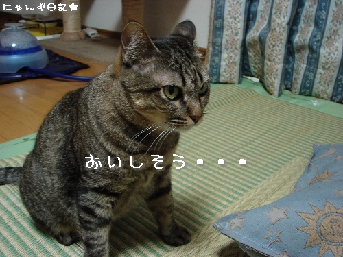 温泉たまご機がやってきた♪_d0355333_14115387.jpg