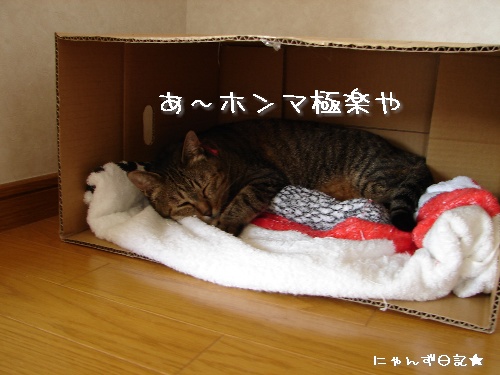 好きな場所_d0355333_14120031.jpg