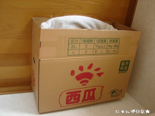 好きな場所_d0355333_14120055.jpg