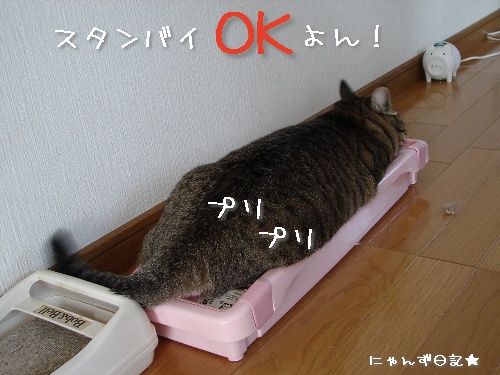 キツイのがお好き?!_d0355333_14120068.jpg