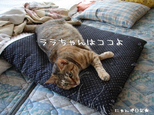 好きな場所_d0355333_14120075.jpg