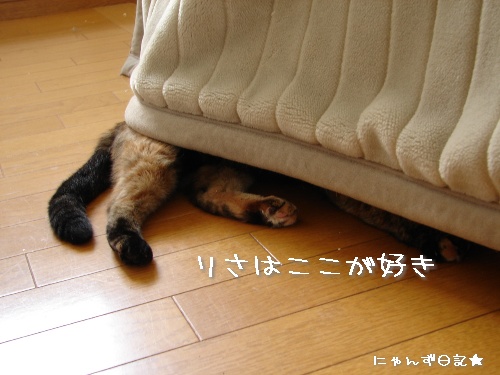 好きな場所_d0355333_14120133.jpg
