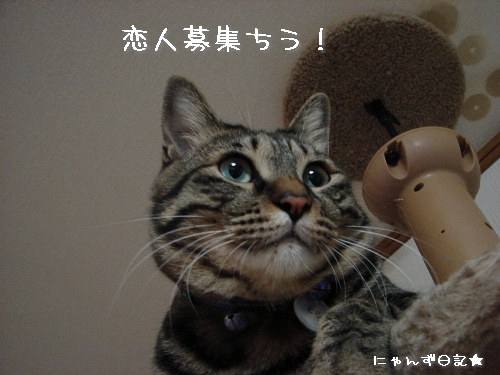 好きな場所_d0355333_14120137.jpg