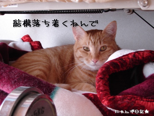 好きな場所_d0355333_14120178.jpg