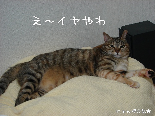 おててフェチ_d0355333_14120308.jpg