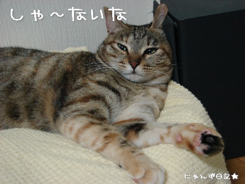 おててフェチ_d0355333_14120378.jpg