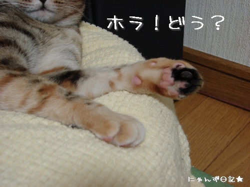おててフェチ_d0355333_14120465.jpg