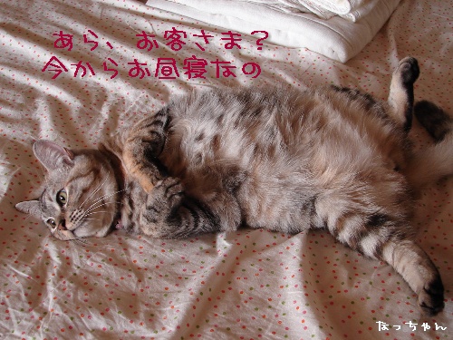 じゃんとけん、お試しへ・・・_d0355333_14120603.jpg