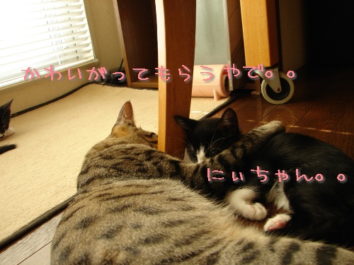じゃんとけん、お試しへ・・・_d0355333_14120666.jpg