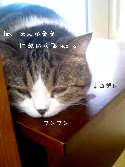 クッキーが焼けたら・・・_d0355333_14121105.jpg
