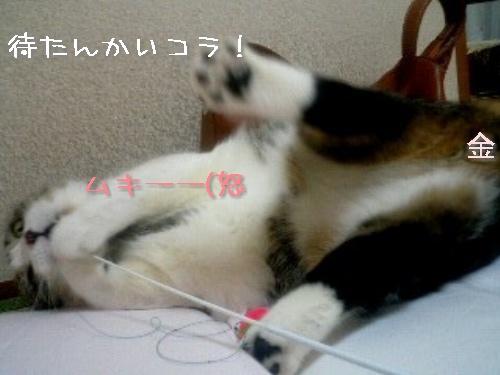 クッキーが焼けたら・・・_d0355333_14121227.jpg