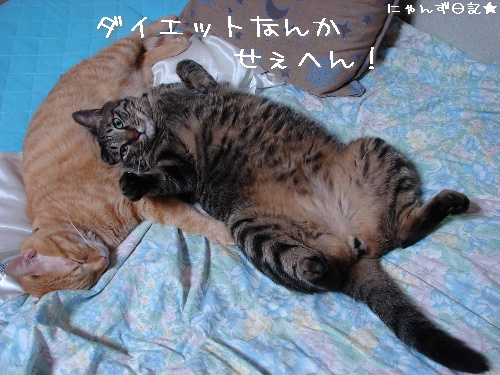 ついに。。_d0355333_14121855.jpg