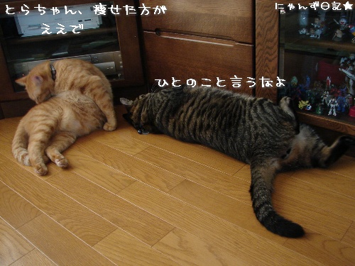 ついに。。_d0355333_14121900.jpg