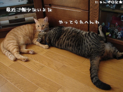 ついに。。_d0355333_14121947.jpg
