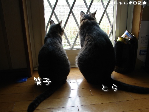 またもや噴水故障 TT_d0355333_14122414.jpg