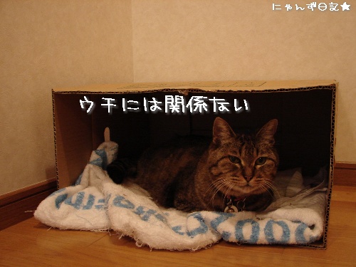 またもや噴水故障 TT_d0355333_14122557.jpg