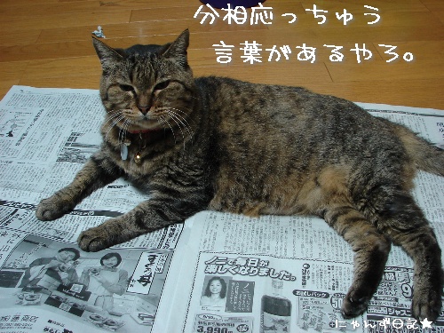 ベランダ改装計画停止ちう_d0355333_14123159.jpg