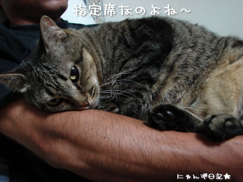 夏も終りかしらん_d0355333_14123239.jpg