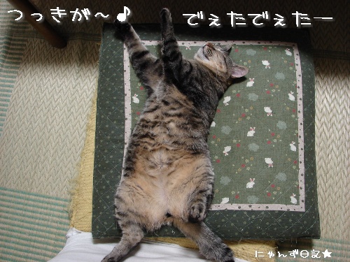 夏も終りかしらん_d0355333_14123266.jpg