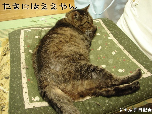 職場のパソコンが!_d0355333_14123454.jpg