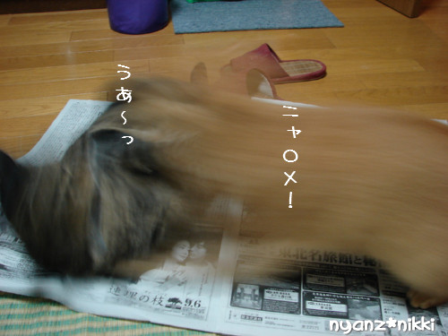 ご飯3粒の恨み_d0355333_14123655.jpeg