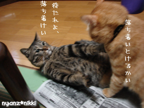 ご飯3粒の恨み_d0355333_14123669.jpeg