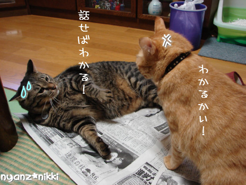 ご飯3粒の恨み_d0355333_14123680.jpeg