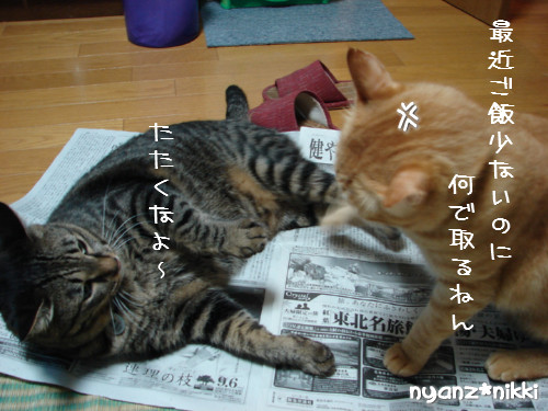 ご飯3粒の恨み_d0355333_14123692.jpeg