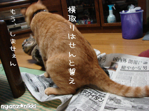 ご飯3粒の恨み_d0355333_14123711.jpeg
